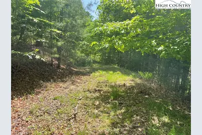 Lot 66 Daves Connector, Jefferson, NC 28640 - Photo 7