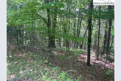 Lot 66 Daves Connector, Jefferson, NC 28640 - Photo 5