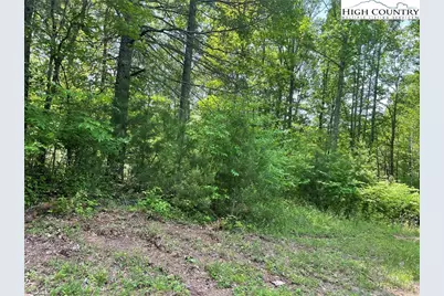 Lot 66 Daves Connector, Jefferson, NC 28640 - Photo 13