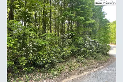 Lot 66 Daves Connector, Jefferson, NC 28640 - Photo 19