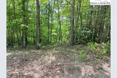 Lot 66 Daves Connector, Jefferson, NC 28640 - Photo 21