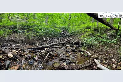 Tbd Ben Bolen Road, Creston, NC 28615 - Photo 5