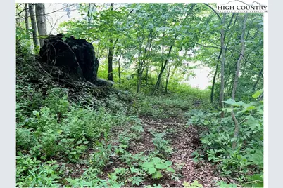 Tbd Ben Bolen Road, Creston, NC 28615 - Photo 7