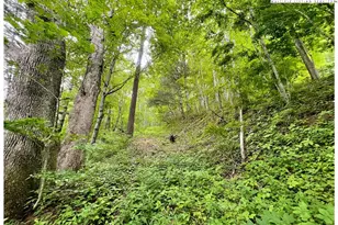 Tbd Ben Bolen Rd, Creston, NC 28615 - Photo 1