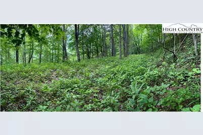 Tbd Ben Bolen Road, Creston, NC 28615 - Photo 3