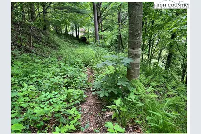 Tbd Ben Bolen Road, Creston, NC 28615 - Photo 9