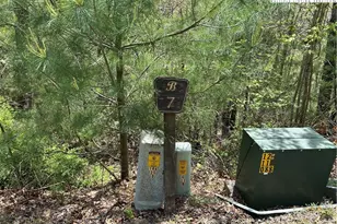 Tbd New River Overlook (Lot 7), West Jefferson, NC 28640 - Photo 1