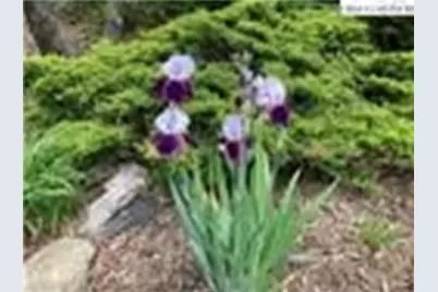 Tbd New River Overlook (Lot 7), West Jefferson, NC 28640 - Photo 29