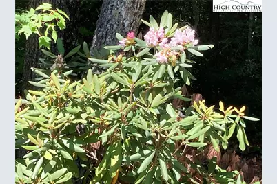 Tbd New River Overlook (Lot 7), West Jefferson, NC 28640 - Photo 31