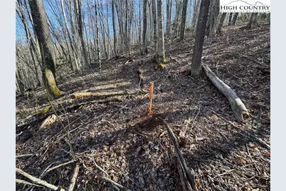 Lot 13 Larkspur Road, Beech Mountain, NC 28622 - Photo 17