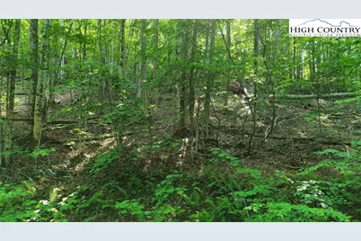 Lot 13 Larkspur Road, Beech Mountain, NC 28622 - Photo 15