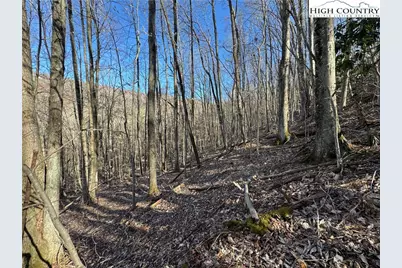Lot 13 Larkspur Road, Beech Mountain, NC 28622 - Photo 5