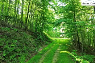 Lot 13 Larkspur Rd, Beech Mountain, NC 28622 - Photo 1