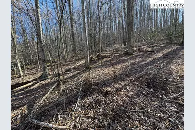 Lot 13 Larkspur Road, Beech Mountain, NC 28622 - Photo 19