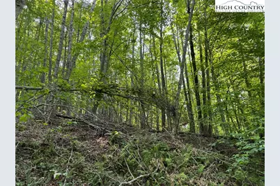 Lot 13 Larkspur Road, Beech Mountain, NC 28622 - Photo 9