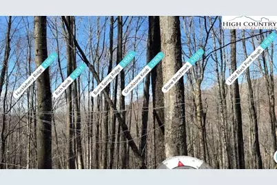 Lot 13 Larkspur Road, Beech Mountain, NC 28622 - Photo 11