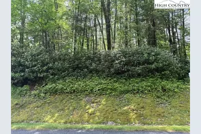 Lot 42 Linville River Lane, Linville, NC 28646 - Photo 1