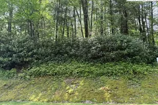 Lot 42 Linville River Ln, Linville, NC 28646 - Photo 1