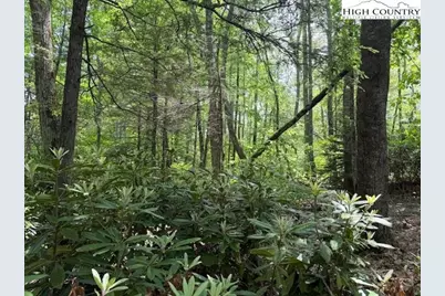 Lot 42 Linville River Lane, Linville, NC 28646 - Photo 3