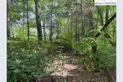 Lot 42 Linville River Lane, Linville, NC 28646 - Photo 7