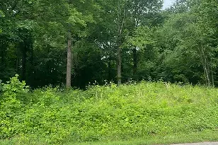 0000 Mountain View Rd, North Wilkesboro, NC 28659 - Photo 1