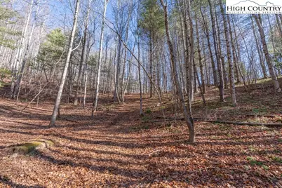 3000 Elk River Road, Elk Park, NC 28622 - Photo 5