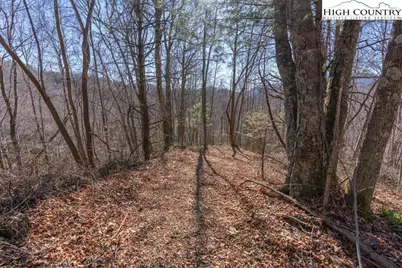 3000 Elk River Road, Elk Park, NC 28622 - Photo 7