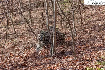 3000 Elk River Road, Elk Park, NC 28622 - Photo 15