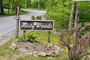 1664 Grouse Moor Dr, Sugar Mountain, NC 28604 - Photo 3