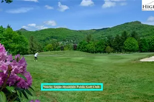 1664 Grouse Moor Dr, Sugar Mountain, NC 28604 - Photo 29