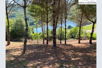 Lot 68 Eagle Bay Parkway, Butler, TN 37640 - Photo 9