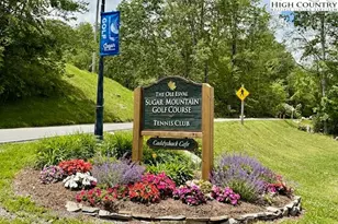 1664 Grouse Moor Dr, Sugar Mountain, NC 28604 - Photo 23