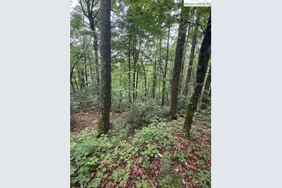 11 Wagon Ridge Road, Ferguson, NC 28624 - Photo 5