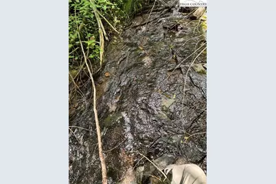 Tbd Elk Creek Road, Deep Gap, NC 28698 - Photo 37