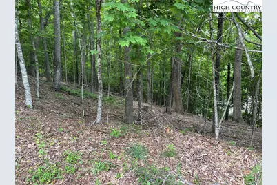 Tbd Market Hills Drive, Boone, NC 28607 - Photo 15