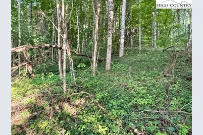 Tract 5 Oak Trail, Creston, NC 28615 - Photo 5