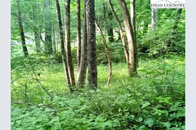 Tract 5 Oak Trail, Creston, NC 28615 - Photo 3