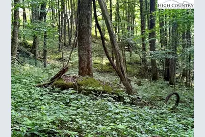 Tract 5 Oak Trail, Creston, NC 28615 - Photo 9