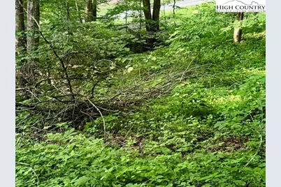 Tract 5 Oak Trail, Creston, NC 28615 - Photo 11