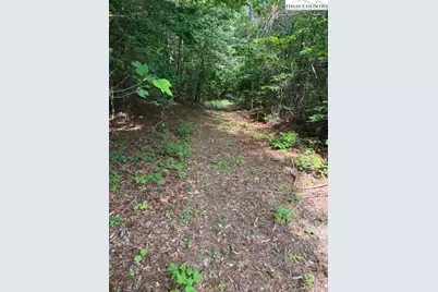 79 Elk Horn Road, Ferguson, NC 28624 - Photo 3