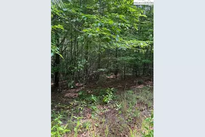 79 Elk Horn Road, Ferguson, NC 28624 - Photo 7