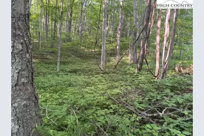 Lot 56 Beechwood Circle, Creston, NC 28615 - Photo 3