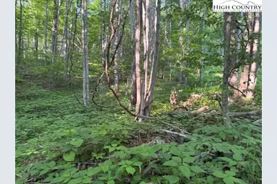 Lot 57 Beechwood Circle, Creston, NC 28615 - Photo 3