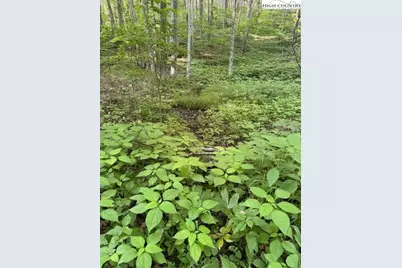 Lot 56 & 57 Beechwood Circle, Creston, NC 28615 - Photo 3