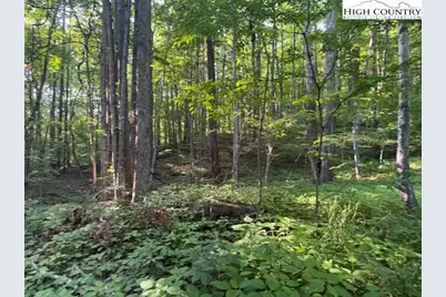 Lot 59 Beechwood Circle, Creston, NC 28615 - Photo 3