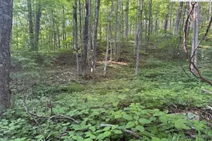 Lot 59 Beechwood Circle, Creston, NC 28615 - Photo 1