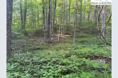 Lot 58 & 59 Beechwood Circle, Creston, NC 28615 - Photo 5