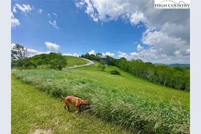 Tbd Sky Rock Trail, Banner Elk, NC 28604 - Photo 23