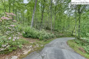 183 Windshaken Ln, Newland, NC 28657 - Photo 37