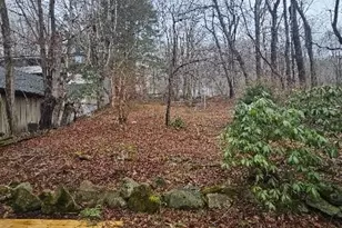 10884 Nc Hwy 105 Hwy, Banner Elk, NC 28604 - Photo 11